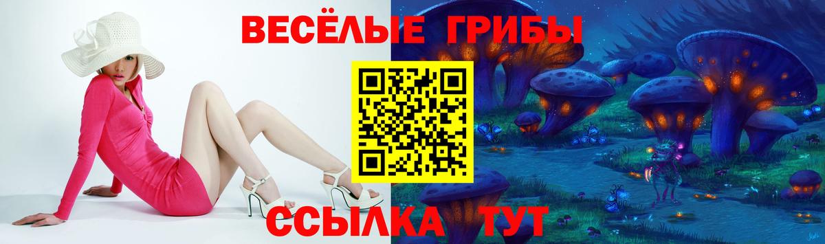 Галлюциногенные грибы GOLDEN TEACHER  Вход с VPN  Минеральные Воды 